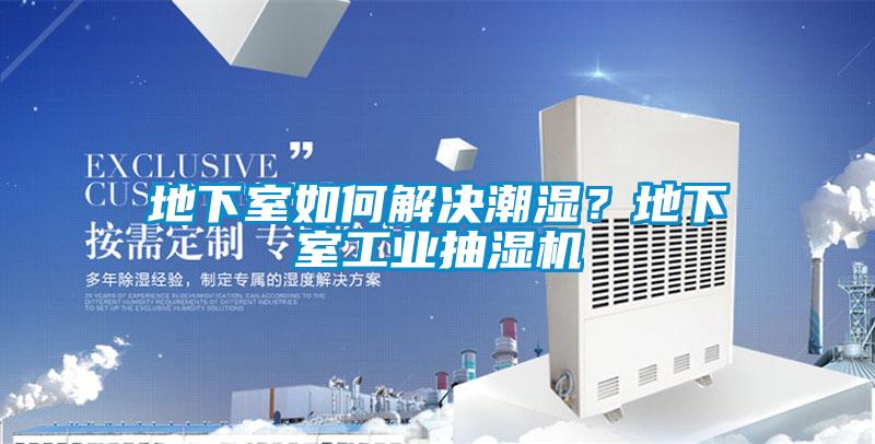 地下室如何解決潮濕？地下室工業抽濕機