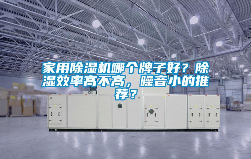 家用除濕機哪個牌子好？除濕效率高不高，噪音小的推薦？