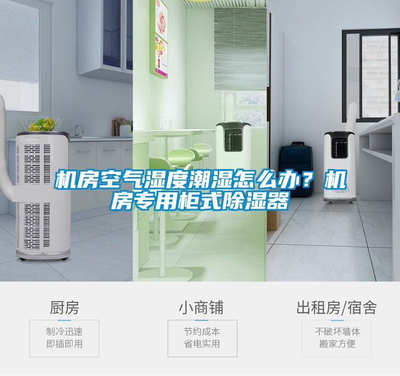機房空氣濕度潮濕怎么辦？機房專用柜式除濕器