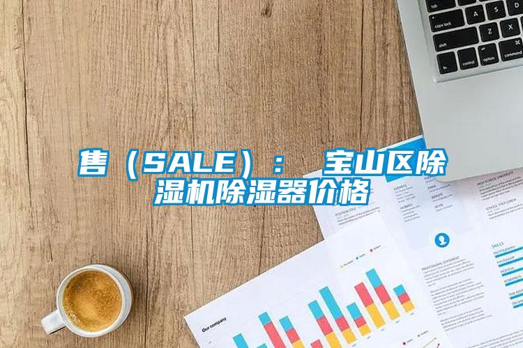 售（SALE）： 寶山區除濕機除濕器價格