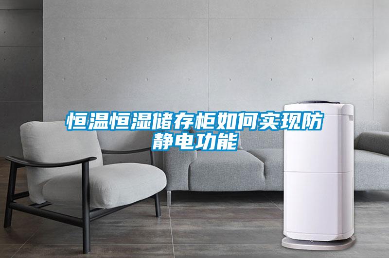 恒溫恒濕儲存柜如何實現防靜電功能