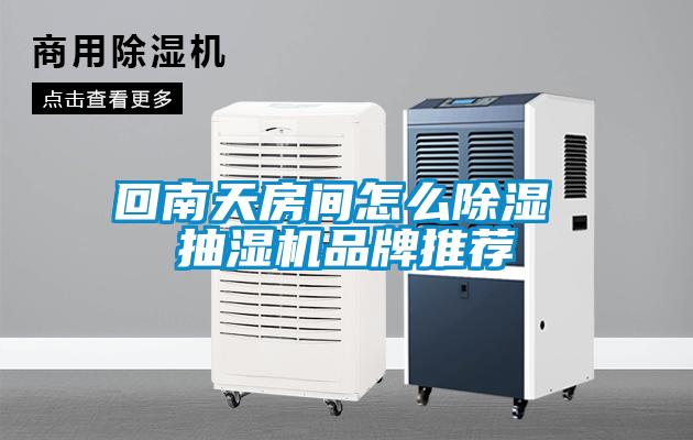回南天房間怎么除濕 抽濕機品牌推薦