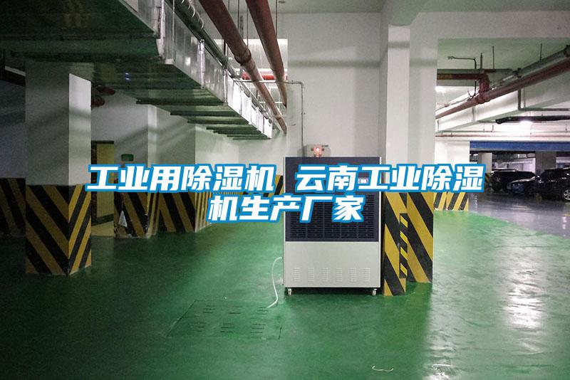 工業用除濕機 云南工業除濕機生產廠家