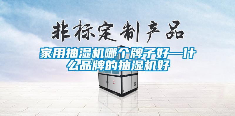 家用抽濕機哪個牌子好—什么品牌的抽濕機好