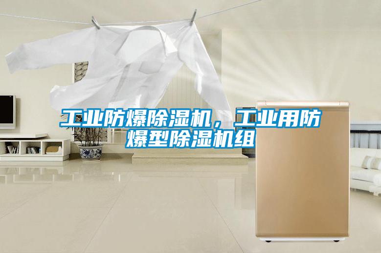 工業防爆除濕機，工業用防爆型除濕機組