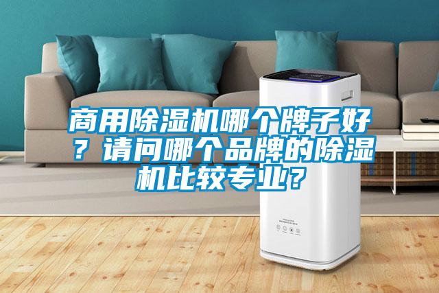 商用除濕機哪個牌子好？請問哪個品牌的除濕機比較專業？