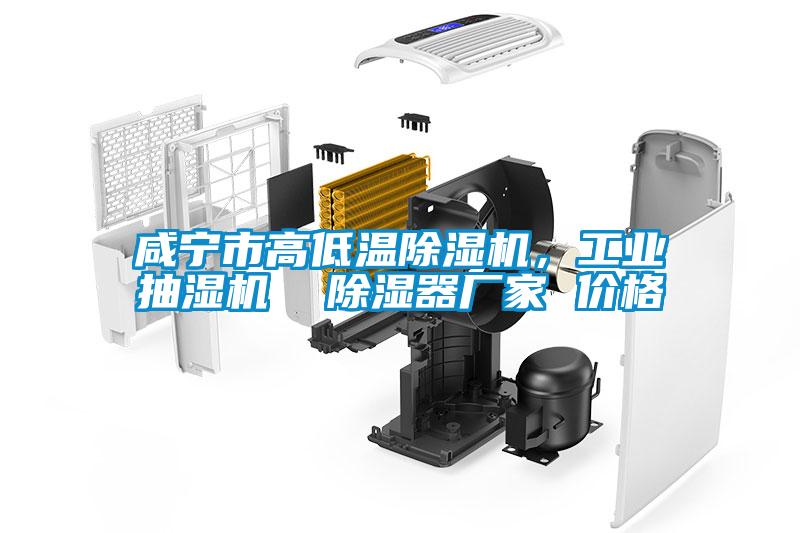 咸寧市高低溫除濕機，工業抽濕機  除濕器廠家 價格