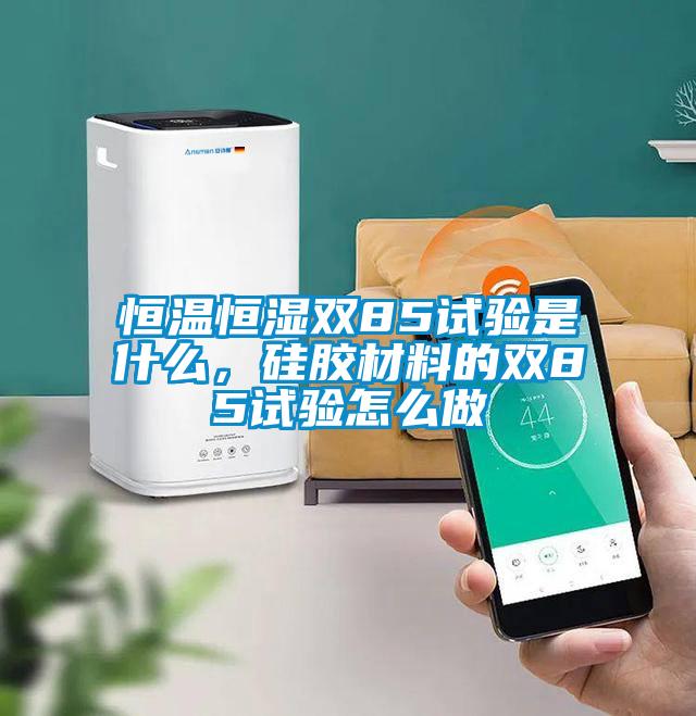 恒溫恒濕雙85試驗是什么，硅膠材料的雙85試驗怎么做