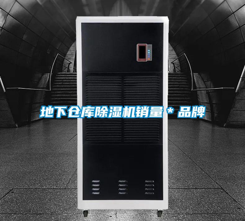 地下倉庫除濕機(jī)銷量＊品牌