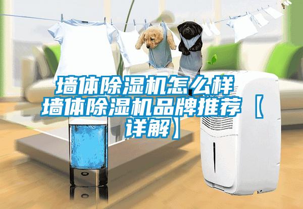 墻體除濕機怎么樣 墻體除濕機品牌推薦【詳解】