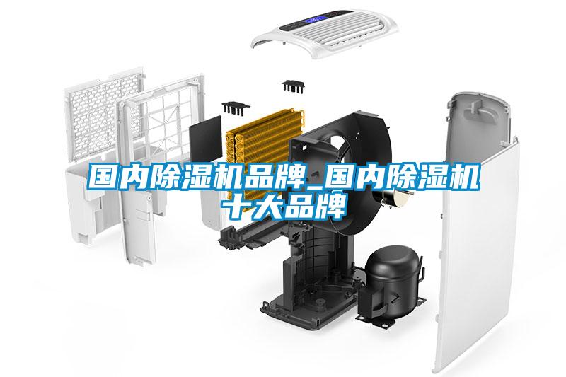 國(guó)內(nèi)除濕機(jī)品牌_國(guó)內(nèi)除濕機(jī)十大品牌
