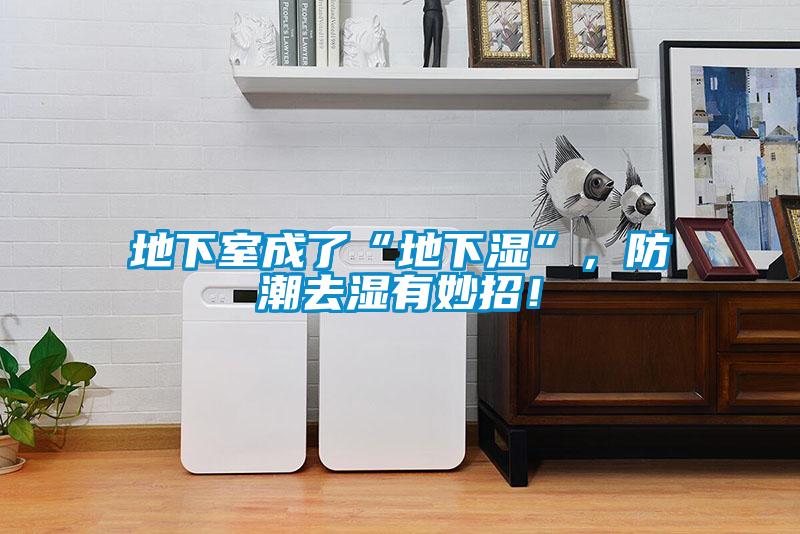 地下室成了“地下濕”，防潮去濕有妙招！