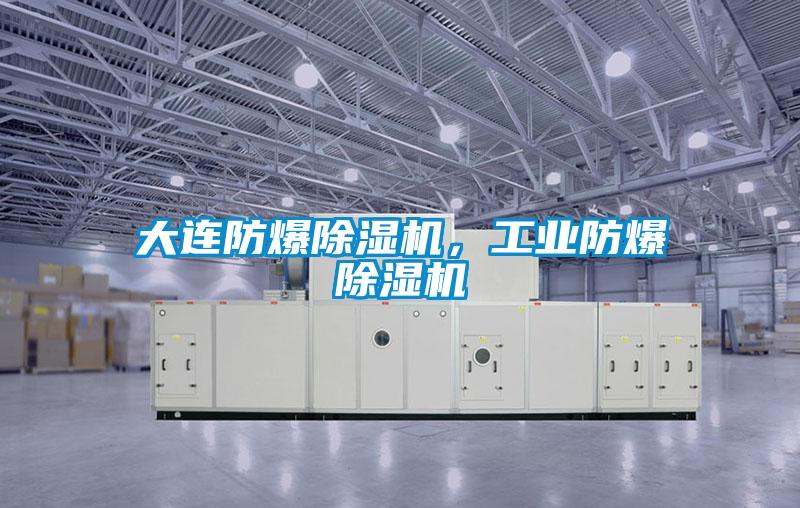 大連防爆除濕機，工業(yè)防爆除濕機
