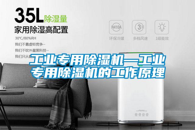 工業(yè)專用除濕機(jī)—工業(yè)專用除濕機(jī)的工作原理