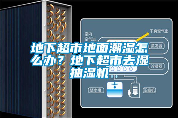 地下超市地面潮濕怎么辦？地下超市去濕抽濕機(jī)