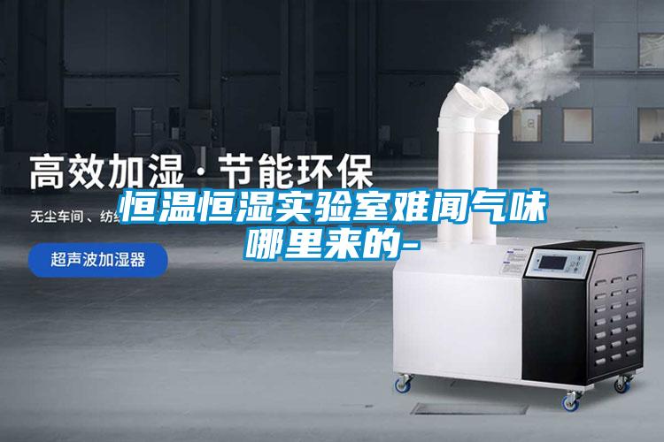 恒溫恒濕實(shí)驗(yàn)室難聞氣味哪里來(lái)的-