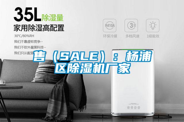 售（SALE）：楊浦區除濕機廠家