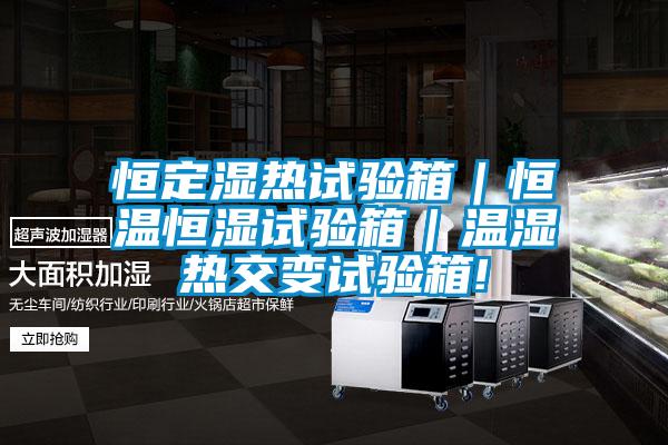 恒定濕熱試驗(yàn)箱｜恒溫恒濕試驗(yàn)箱｜溫濕熱交變試驗(yàn)箱!