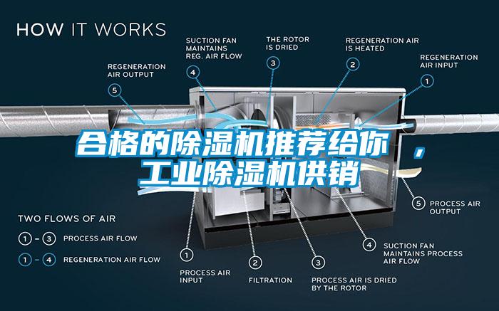 合格的除濕機推薦給你 ，工業除濕機供銷