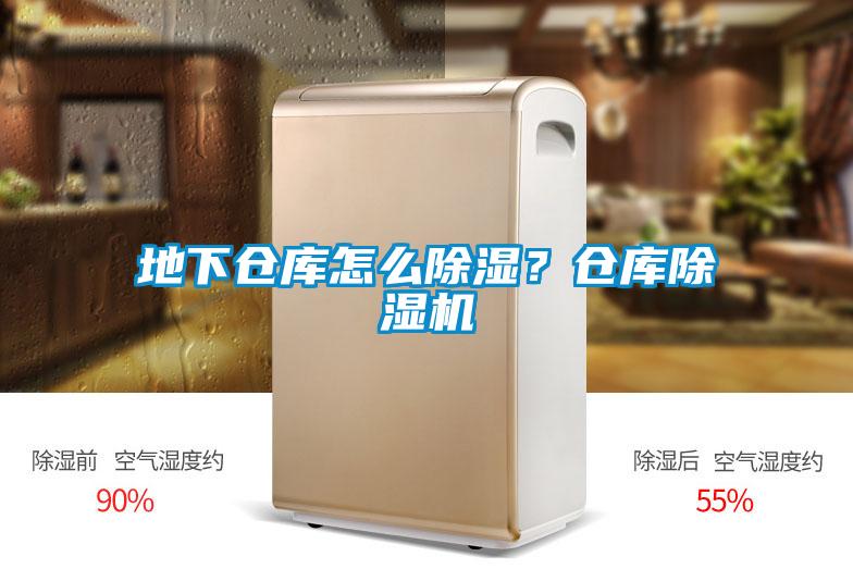 地下倉庫怎么除濕？倉庫除濕機