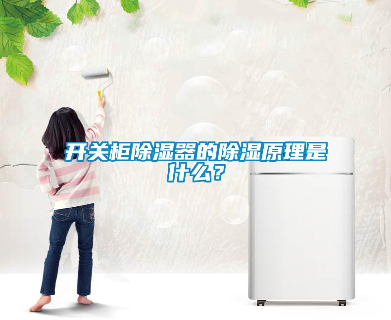 開關(guān)柜除濕器的除濕原理是什么？