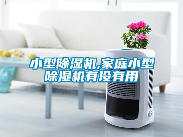 小型除濕機(jī),家庭小型除濕機(jī)有沒有用