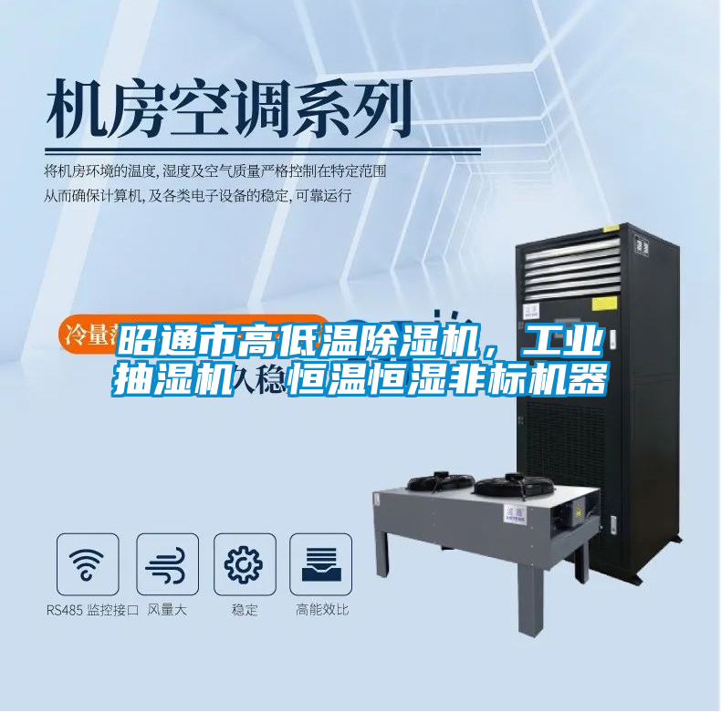 昭通市高低溫除濕機，工業(yè)抽濕機  恒溫恒濕非標機器
