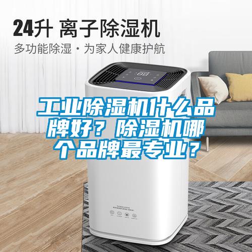 工業(yè)除濕機(jī)什么品牌好？除濕機(jī)哪個品牌最專業(yè)？