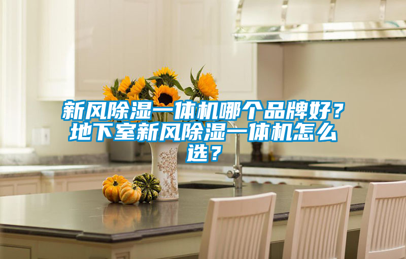 新風(fēng)除濕一體機(jī)哪個(gè)品牌好？地下室新風(fēng)除濕一體機(jī)怎么選？