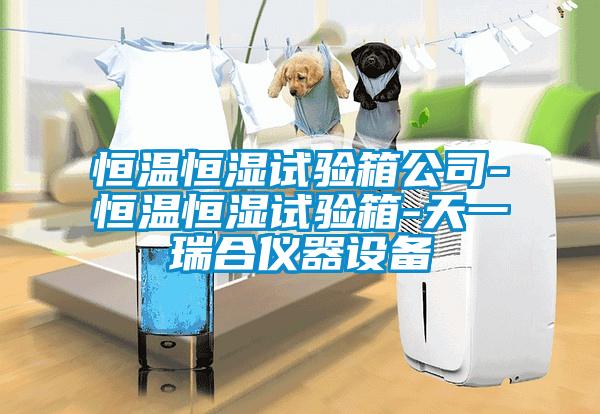 恒溫恒濕試驗箱公司-恒溫恒濕試驗箱-天一瑞合儀器設(shè)備