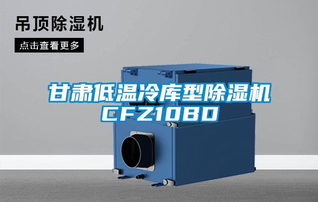 甘肅低溫冷庫型除濕機CFZ10BD