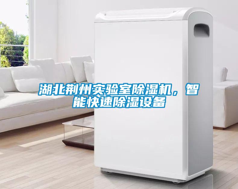 湖北荊州實(shí)驗(yàn)室除濕機(jī)，智能快速除濕設(shè)備