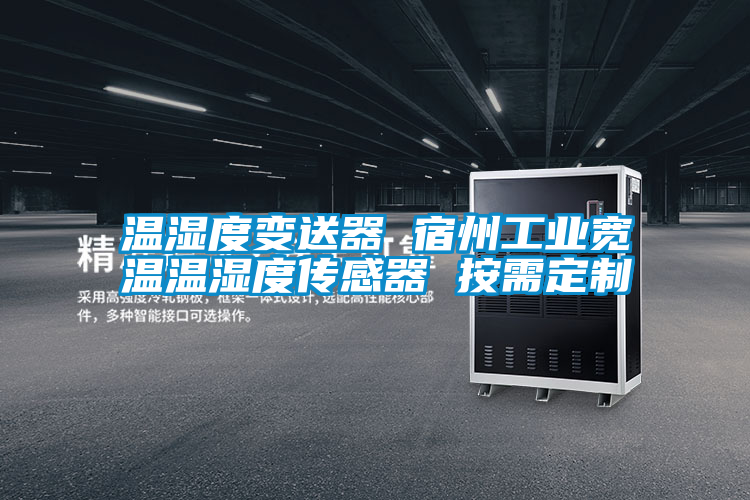 溫濕度變送器 宿州工業寬溫溫濕度傳感器 按需定制