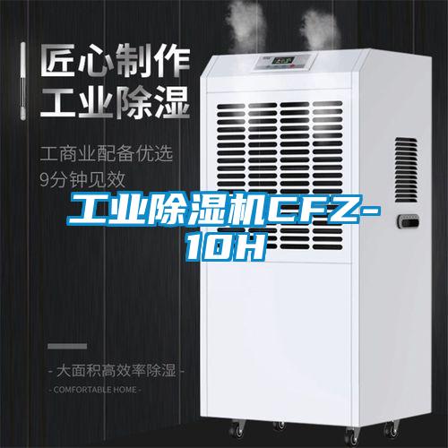 工業(yè)除濕機(jī)CFZ-10H