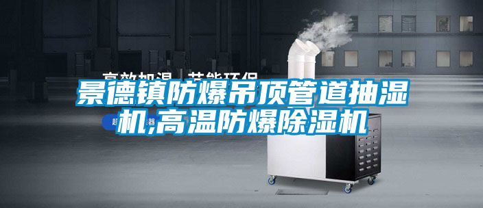 景德鎮(zhèn)防爆吊頂管道抽濕機,高溫防爆除濕機