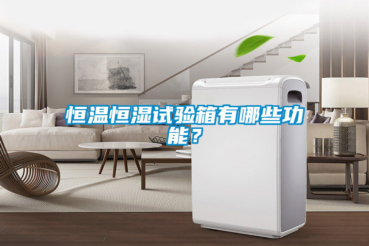 恒溫恒濕試驗箱有哪些功能？