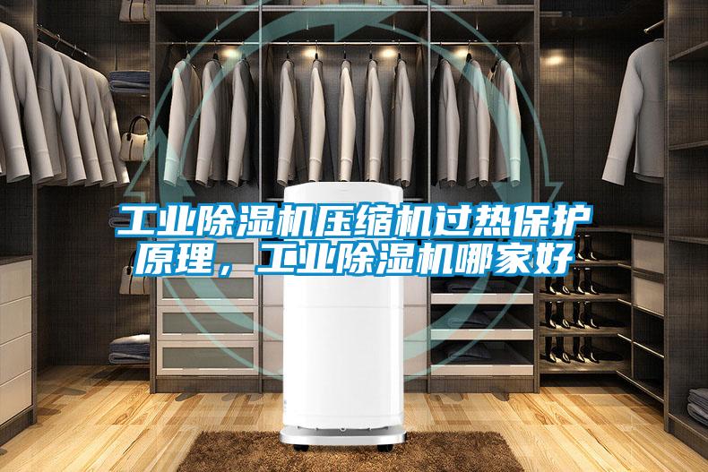 工業除濕機壓縮機過熱保護原理，工業除濕機哪家好