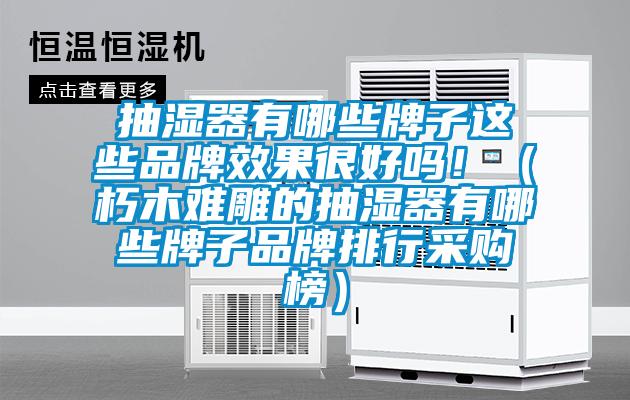 抽濕器有哪些牌子這些品牌效果很好嗎！（朽木難雕的抽濕器有哪些牌子品牌排行采購(gòu)榜）