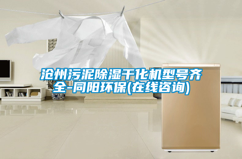 滄州污泥除濕干化機型號齊全-同陽環保(在線咨詢)