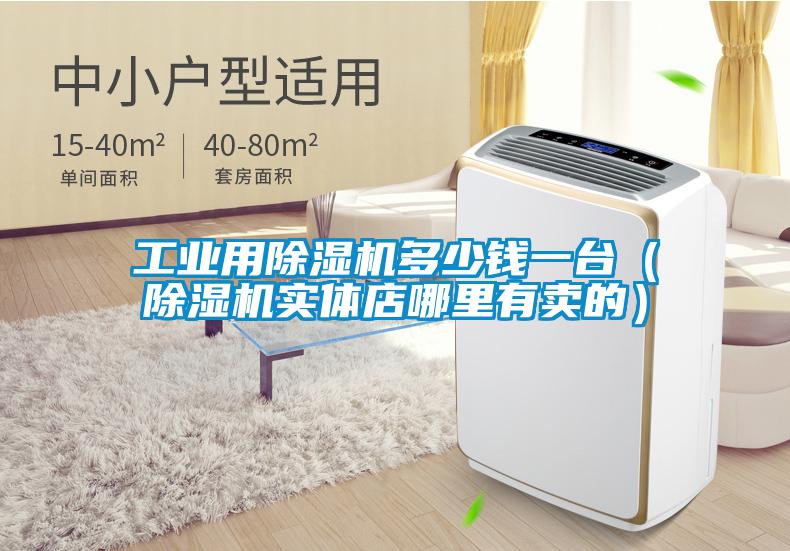 工業用除濕機多少錢一臺（除濕機實體店哪里有賣的）