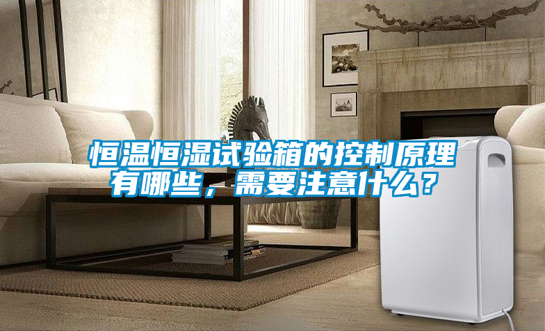 恒溫恒濕試驗箱的控制原理有哪些，需要注意什么？