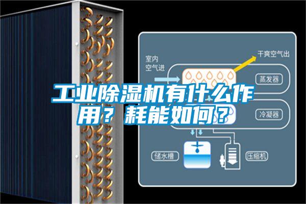 工業除濕機有什么作用？耗能如何？