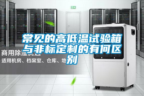 常見(jiàn)的高低溫試驗(yàn)箱與非標(biāo)定制的有何區(qū)別
