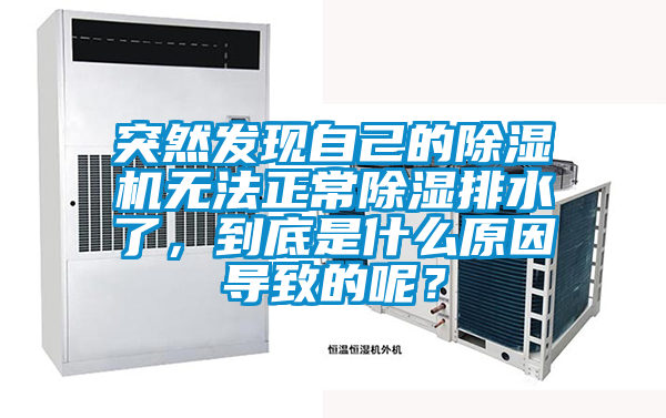 突然發(fā)現(xiàn)自己的除濕機(jī)無法正常除濕排水了，到底是什么原因?qū)е碌哪兀?/></p>
						    <p style=