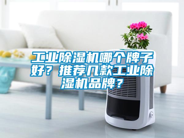 工業除濕機哪個牌子好？推薦幾款工業除濕機品牌？