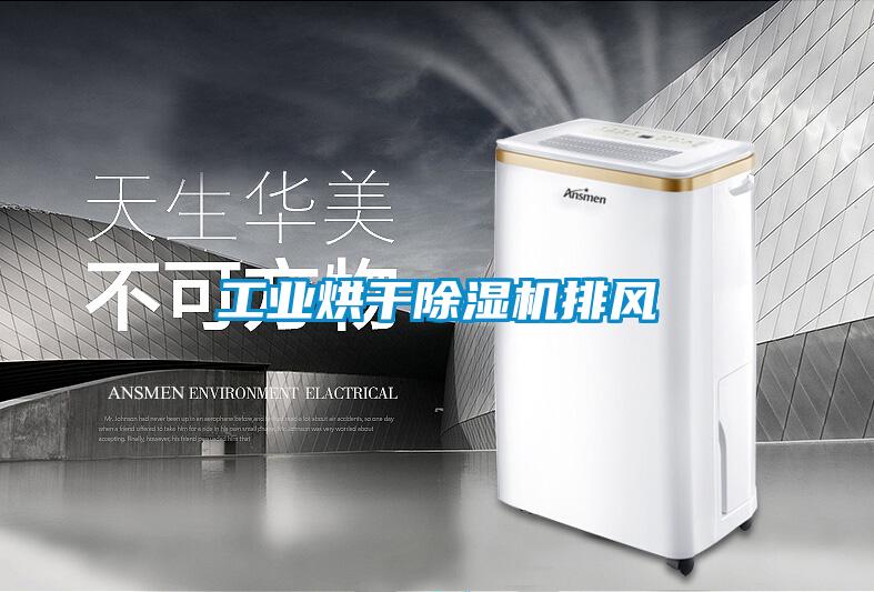 工業(yè)烘干除濕機排風(fēng)