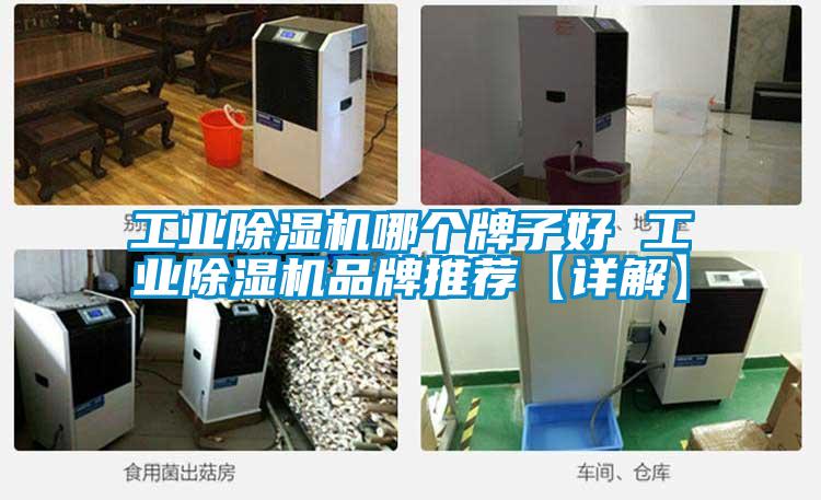 工業除濕機哪個牌子好 工業除濕機品牌推薦【詳解】