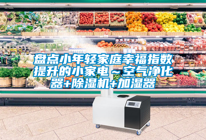 盤點小年輕家庭幸福指數提升的小家電～空氣凈化器+除濕機+加濕器