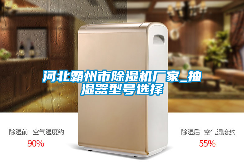 河北霸州市除濕機(jī)廠家_抽濕器型號(hào)選擇