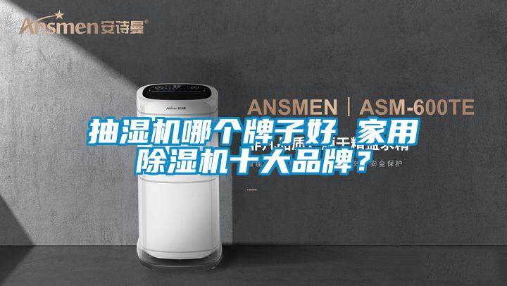 抽濕機哪個牌子好 家用除濕機十大品牌？